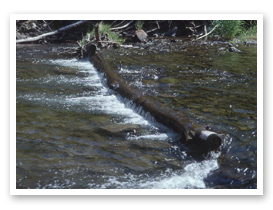 Logs used to stabilize a streambed in Eastern Oregon
