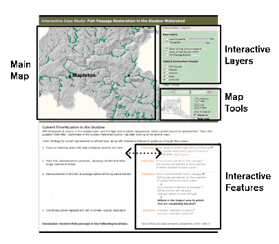 Instructions for Using the Interactive Tools