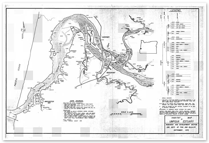 Habitat map of the Umpqua Estuary