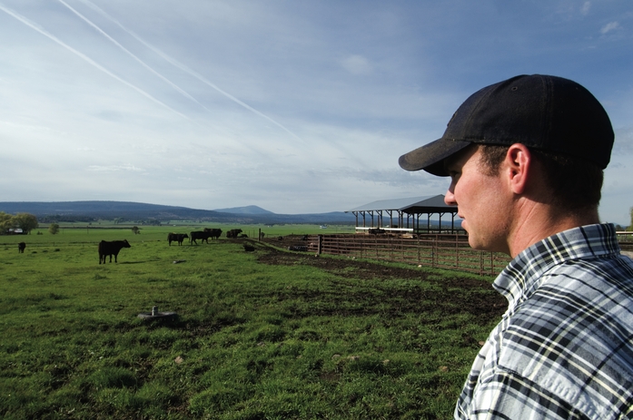 OSU student and farmer Nick Moxley checks his cattle