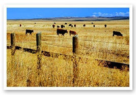 A ranch in Harney County
