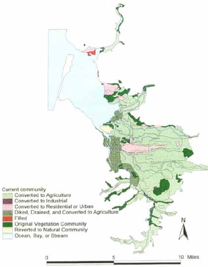 Converted Wetland Areas Around Tillamook Bay, 1985 Map