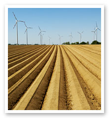 Wind Energy and Farming