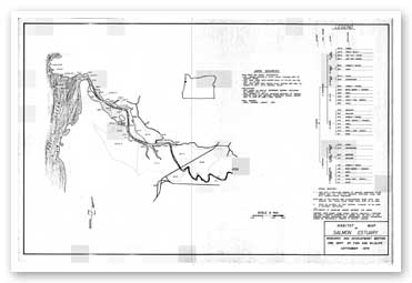 Habitat map of the Salmon River Estuary