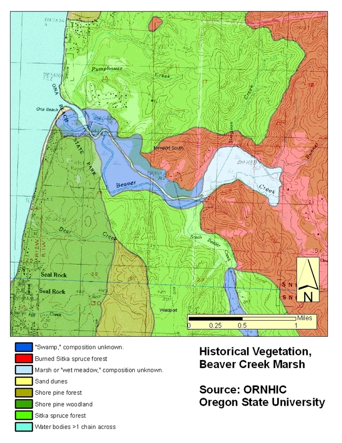 Historic Vegetation of Beaver Creek Marsh, Seal Rock, Oregon