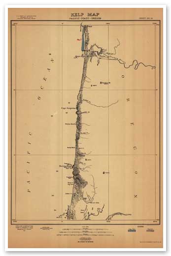 Map of Central Oregon Coast kelp resources from 1912 study of fertilizer resources
